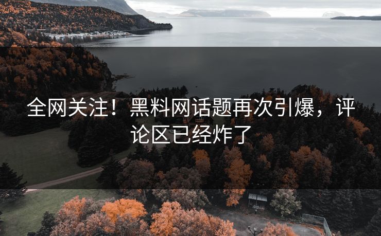 全网关注！黑料网话题再次引爆，评论区已经炸了