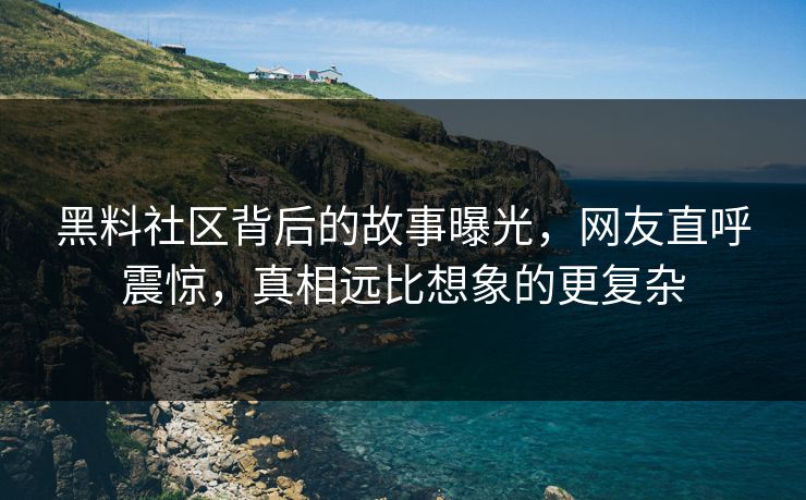 黑料社区背后的故事曝光，网友直呼震惊，真相远比想象的更复杂