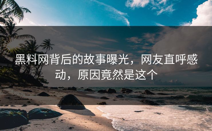 黑料网背后的故事曝光，网友直呼感动，原因竟然是这个