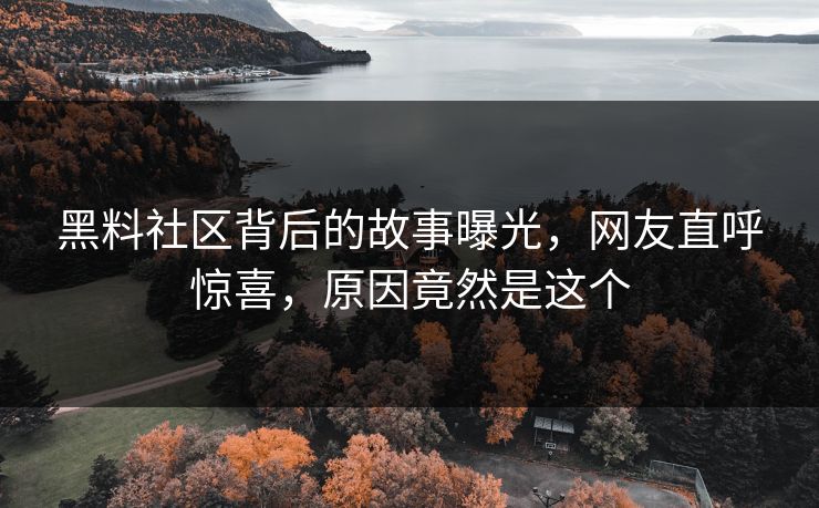 黑料社区背后的故事曝光，网友直呼惊喜，原因竟然是这个