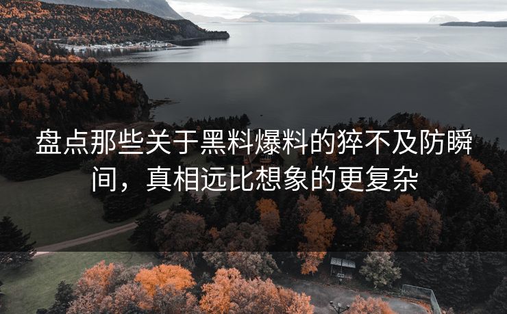 盘点那些关于黑料爆料的猝不及防瞬间，真相远比想象的更复杂