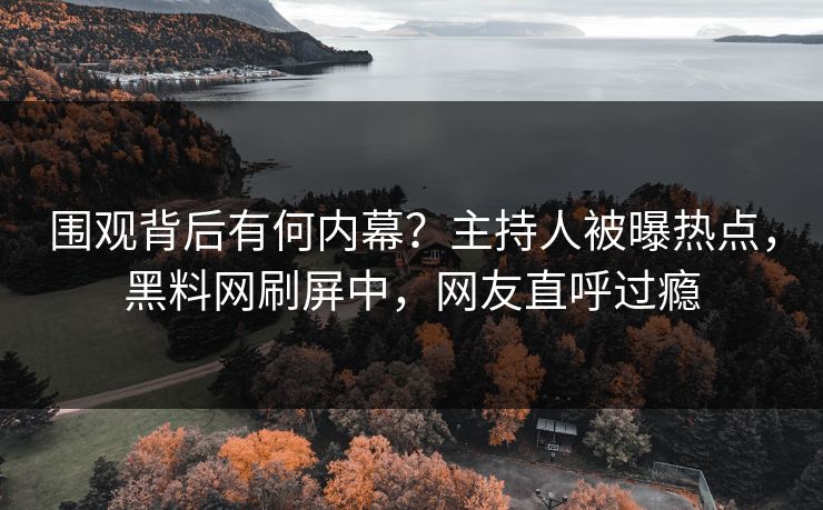 围观背后有何内幕？主持人被曝热点，黑料网刷屏中，网友直呼过瘾