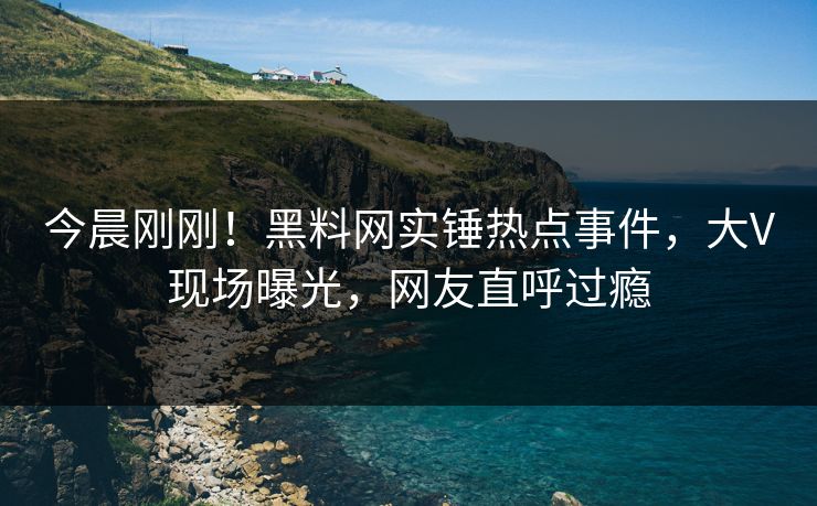 今晨刚刚！黑料网实锤热点事件，大V现场曝光，网友直呼过瘾