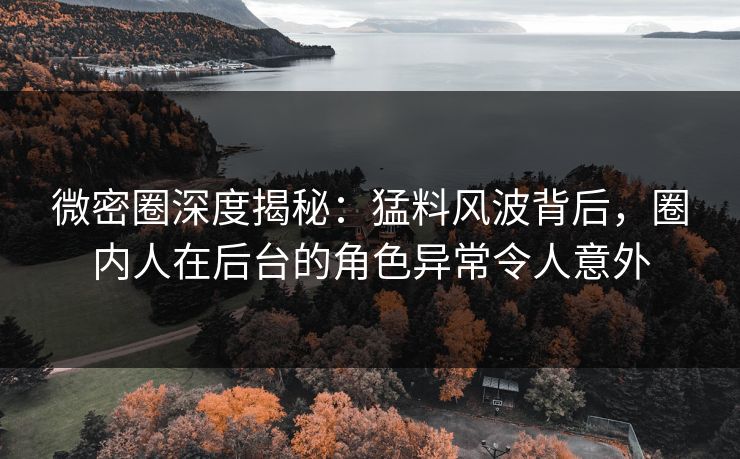 微密圈深度揭秘：猛料风波背后，圈内人在后台的角色异常令人意外