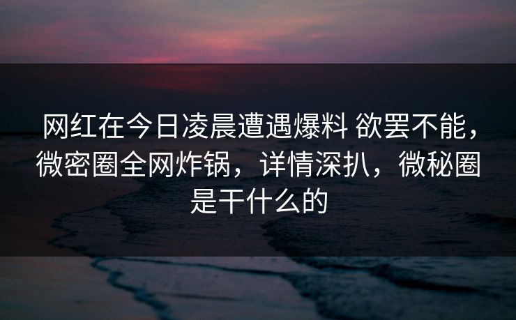 网红在今日凌晨遭遇爆料 欲罢不能，微密圈全网炸锅，详情深扒，微秘圈是干什么的