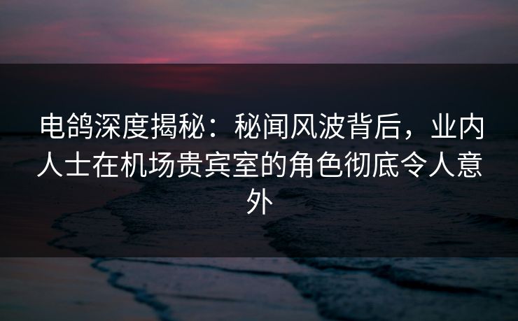 电鸽深度揭秘：秘闻风波背后，业内人士在机场贵宾室的角色彻底令人意外